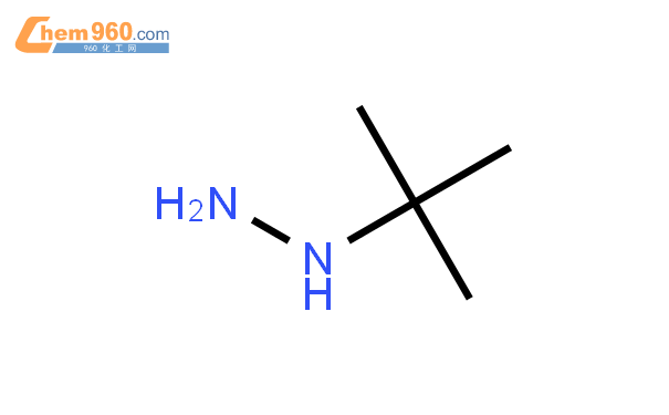 特丁基肼结构式