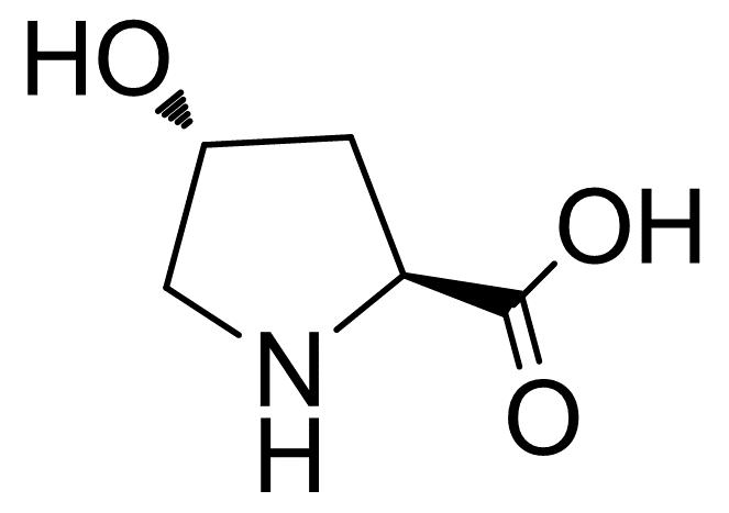 l-羟基脯氨酸