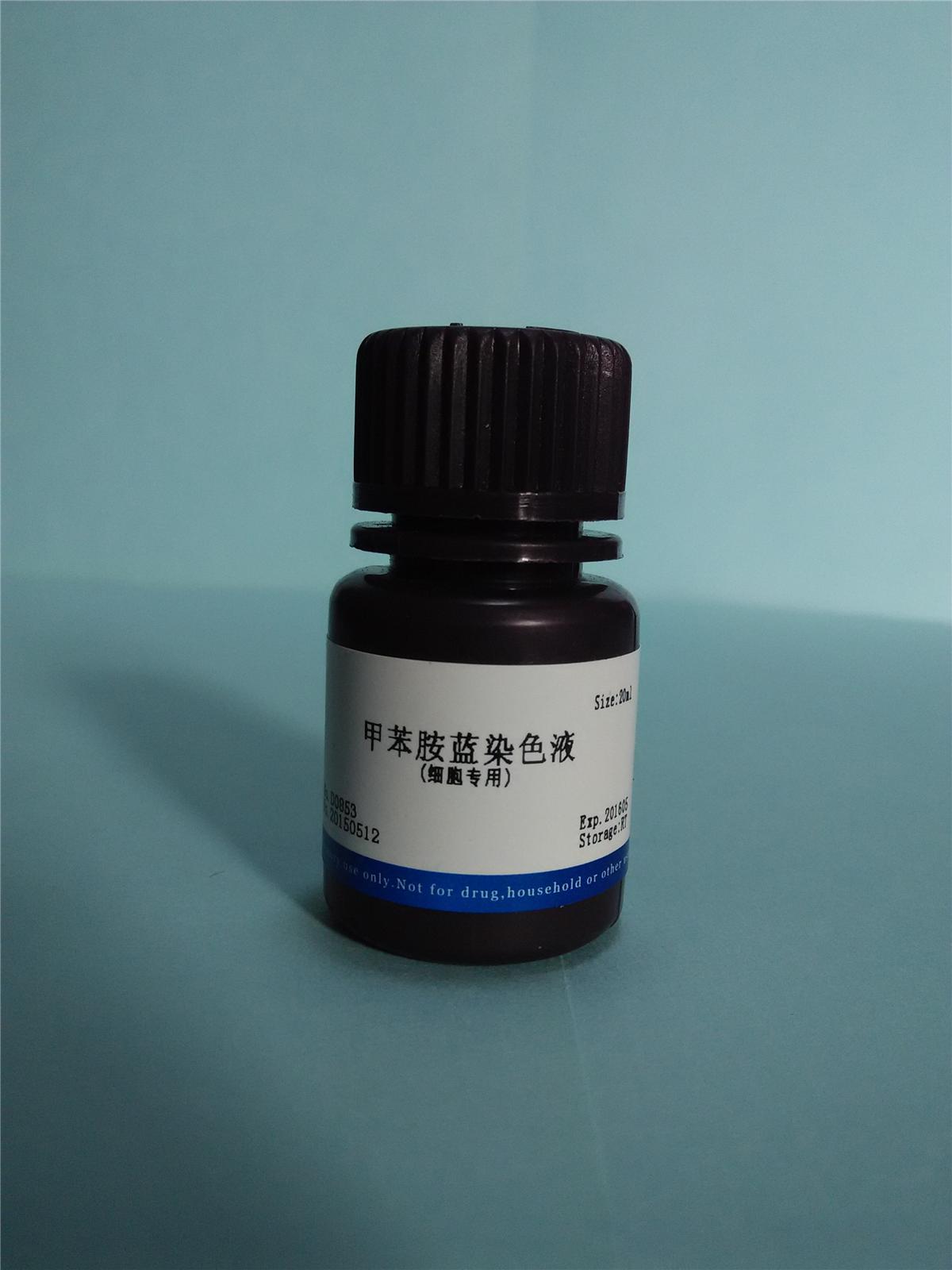 甲苯胺蓝染色液(细胞专用)