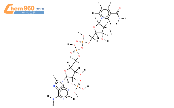 beta-nadp 结构式