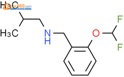 {[2-(二氟甲氧基)苯基]甲基}(2-甲基丙基)胺结构式图片|1019579-52-2结构式图片