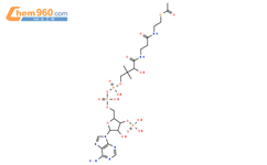 乙酰辅酶 A 钠盐结构式图片|102029-73-2结构式图片
