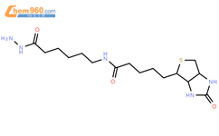 (+)-生物素胺己酰肼结构式图片|109276-34-8结构式图片