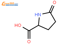 DL-焦谷氨酸