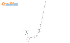 辅酶 A S-十四烷酸酯锂盐结构式图片|187100-75-0结构式图片