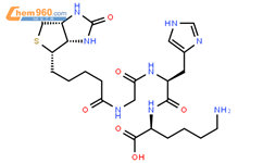 生物素三肽-1结构式图片|299157-54-3结构式图片