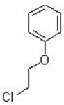 2-氯乙基苯醚