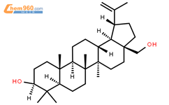白桦脂醇结构式图片|473-98-3结构式图片