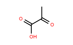 pyruvic acid | acetylformic acid | endogenous metabolite