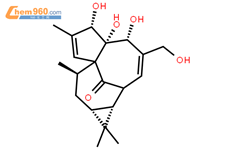巨大戟醇；巨大戟二萜醇结构式图片|30220-46-3结构式图片