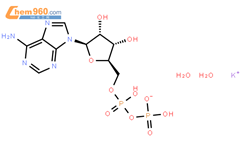 腺苷-5'-二磷酸一钾盐二水合物结构式图片|72696-48-1结构式图片