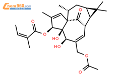 巨大戟醇-3-当归酸-20-乙酸酯结构式图片|82425-35-2结构式图片