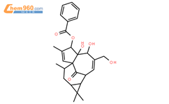 巨大戟醇3-苯甲酸酯结构式图片|83036-64-0结构式图片