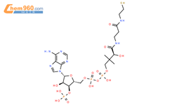 辅酶 A（COA）结构式图片|85-61-0结构式图片