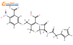 β-內酰胺酶 I(9073-60-3)