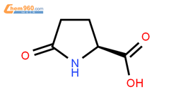 L-焦谷氨酸結構式