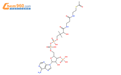 乙酰辅酶A/乙酰辅酶A钠盐/Acetyl CoA结构式图片|102029-73-2结构式图片