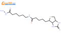 (＋)-生物素胺己酰肼结构式图片|109276-34-8结构式图片