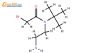 n-叔丁基-n-(2-氨基乙基)-2-溴乙酰胺结构式图片|1284246-99-6结构式