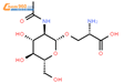 O-(2-乙酰氨基-2-脱氧-D-吡喃葡萄糖)-L-丝氨酸