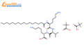 棕榈酰三肽-3/5结构式图片|623172-56-5结构式图片