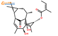 20-脱氧巨大戟醇 3-当归酸酯结构式图片|75567-38-3结构式图片