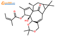 巨大戟醇 5,20-缩丙酮 3-当归酸酯结构式图片|87980-68-5结构式图片