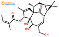 巨大戟醇-3-当归酸酯结构式图片|75567-37-2结构式图片