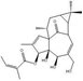 巨大戟醇-3-O-当归酸酯 巨大戟醇甲基丁烯酸酯结构式图片|75567-37-2结构式图片