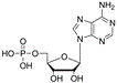 5'-腺苷酸结构式图片|61-19-8结构式图片