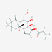巨大戟醇-3-O-当归酸酯结构式图片|75567-37-2结构式图片