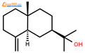 β-桉叶醇