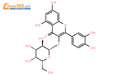 金絲桃苷，槲皮素-3-D-半乳糖苷      