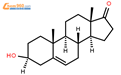去氢表雄酮