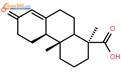 13-氧代多萜-8(14)-烯-18-酸