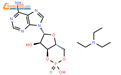 腺苷-3,5-环状硫代磷酸钠结构式图片|73208-40-9结构式图片