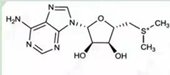 丁二磺酸腺苷蛋氨酸杂质III结构式图片|结构式图片