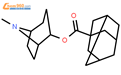 (8-methyl-8-azabicyclo[3.2.1]octan-4-yl) adamantane-1-carboxylate