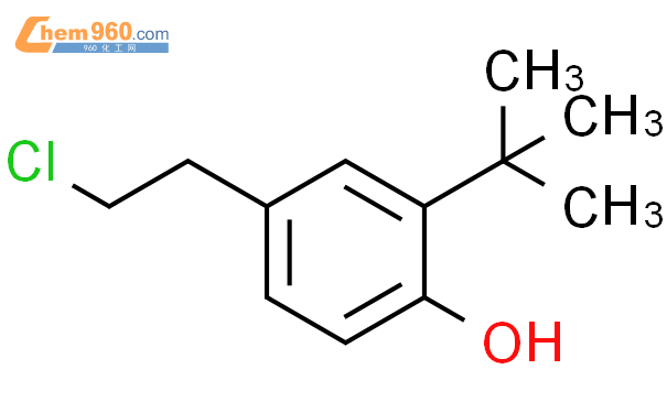 2 tert butyl 4 2 chloroethyl phenolCAS号100669 69 0 960化工网