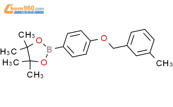 1 3 2 Dioxaborolane 4 4 5 5 Tetramethyl 2 4 3 Methylphenyl Methoxy