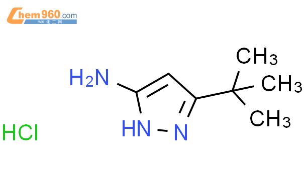 1031791 10 2 5 tert Butyl 1h pyrazol 3 amine HCl化学式结构式分子式molsmiles