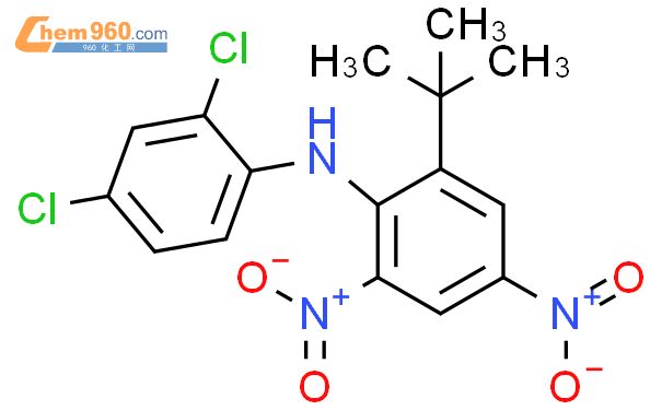 Benzenamine N Dichlorophenyl Dimethylethyl