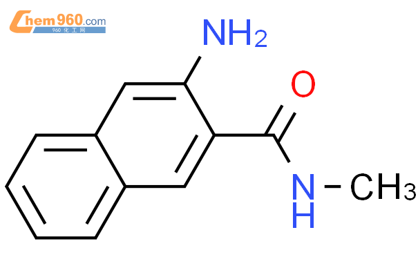 110923 29 0 2 Naphthalenecarboxamide 3 amino N methyl CAS号 110923 29 0