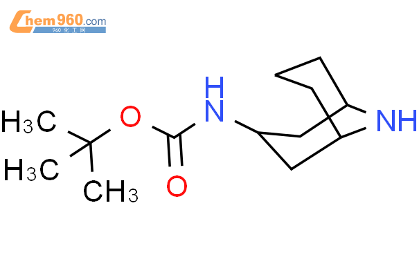 Tert Butyl R S S Azabicyclo Nonan