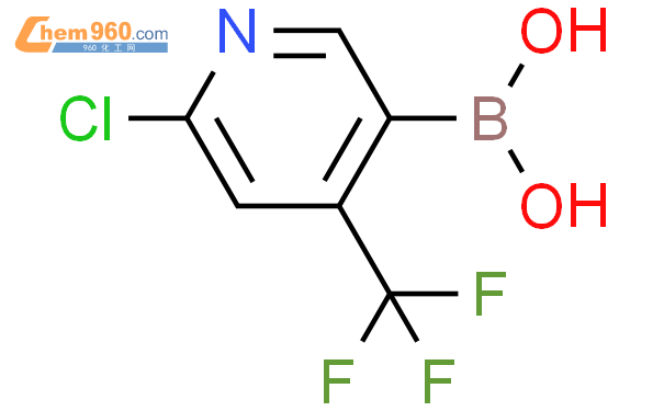 Chloro Trifluoromethyl Pyridine Boronic Acid