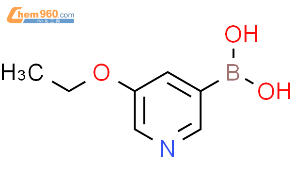 5-乙氧基吡啶-3-硼酸