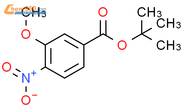 123330 91 6 Benzoic acid 3 methoxy 4 nitro 1 1 dimethylethyl ester化学式