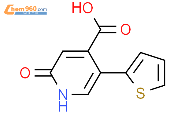 1261905 00 3 2 oxo 5 thiophen 2 yl 1H pyridine 4 carboxylic acid化学式结构式