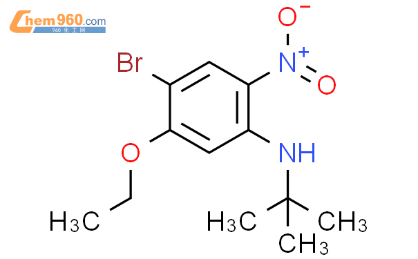 1280786 66 4 4 Bromo N tert butyl 5 ethoxy 2 nitroaniline化学式结构式分子式