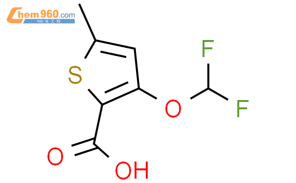 1306605 42 4 3 Difluoromethoxy 5 Methylthiophene 2 Carboxylic AcidCAS